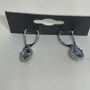 Silver Tone Blue Stone Hook Earrings